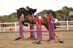 SBM_024336