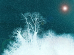 17th February Ash Moon