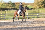 BPP_9831