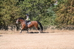 WJ6_7579