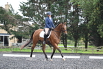 Lyford Stud - Dressage Champs 20-09-25 portfolio
