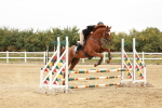 SBM_008500