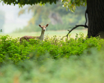 20140929-3K8A5879