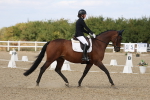 SBM_022025