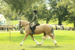 SBM_62655