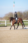 SBM_002268