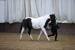 SBM_5484