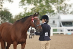 SBM_07689