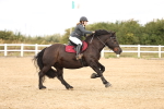SBM_007211