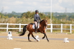SBM_000246
