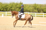 SBM_008457