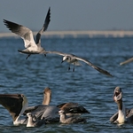 feeding-time-1-0637