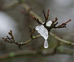 Melting Snow