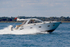170902 BILLY BOB - SEALINE SC35 1Y3A0807_Edit