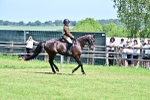 SBM_15274