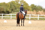 SBM_006731