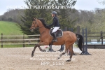 BPP_1153