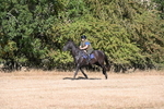 WJ6_6776