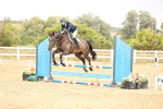 SBM_008032