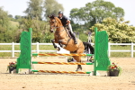 SBM_004021