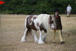 WJ6_7899