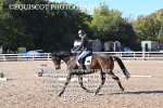 BPP_8953