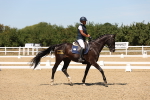 SBM_002804
