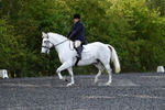 WJ5_8971