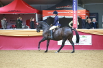 SBM_06229
