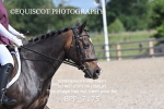 BPP_7175