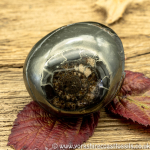 Polished Whitby Ammonite Nodule 027