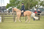 SBM_15944