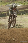 MX 291011 349