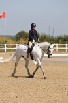 SBM_003442