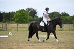 WJ6_0656