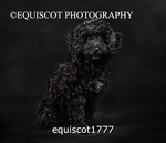 equiscot1777