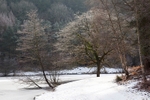 Winter at Mallards Pike - 3