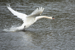 20140417-3K8A0262