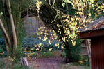 Buchan Park 2 - 25