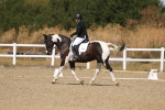 SBM_013656