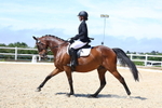 3E7A1568