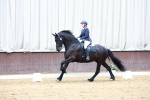 SBM_004155