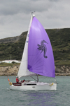 170701 SEAHORSE GBR9031R AE1I4338