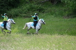 Group 3 10:45am portfolio