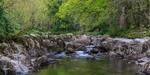 River Llugwy Panorama