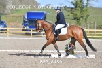 BPP_8489