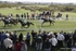 Race 2 7