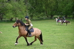 WJ6_3364