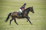 BVHT 140517  NXC -182