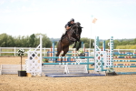 SBM_004598